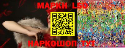 индика Дубна