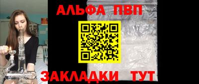 индика Дубна