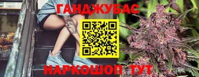 индика Дубна