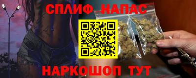 индика Дубна