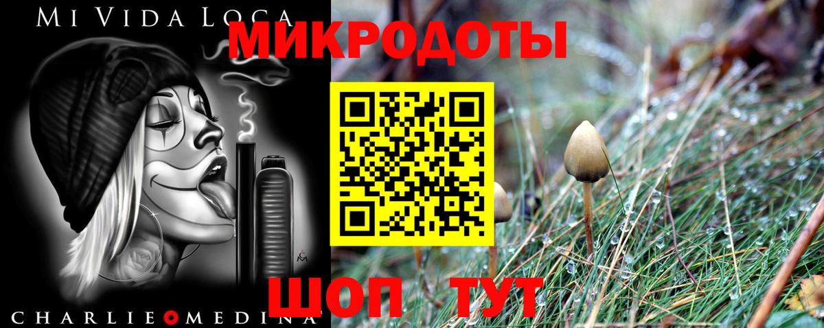 Галлюциногенные грибы Psilocybine cubensis  Вход с VPN  Калач-на-Дону 